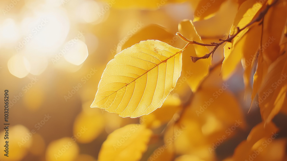 A close-up view of a vibrant yellow autumn leaf, showcasing its intricate veins and textures. The leaf stands out against a backdrop of bright orange trees, with the warm tones creating a stunning A close-up view of a vibrant yellow autumn leaf, showcasing its intricate veins and textures. The leaf stands out against a backdrop of bright orange trees, with the warm tones creating a stunning