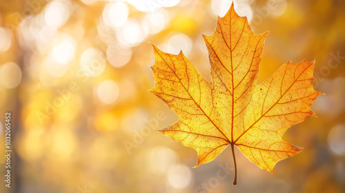 A close-up view of a vibrant yellow autumn leaf, showcasing its intricate veins and textures. The leaf stands out against a backdrop of bright orange trees, with the warm tones creating a stunning