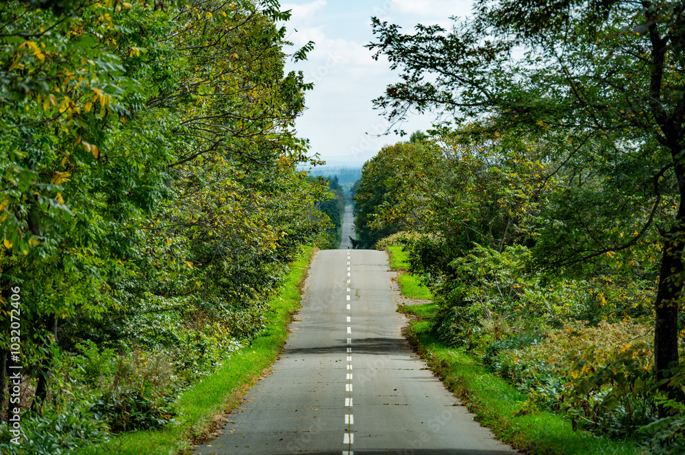 Obraz premium 北海道の真っ直ぐな道路