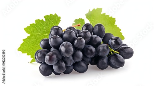 Captivating Composition: Black Grape Isolate Enhanced by White Background and Exquisite Blue Grapes