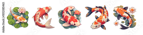 Vector illustration of Koi carp fish isolated on white background good luck fish, asian culture