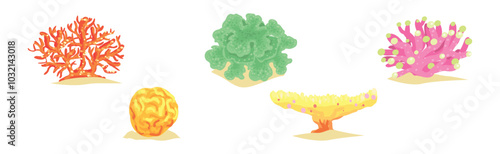 Colorful Coral and Sea Bottom Plant Vector Set