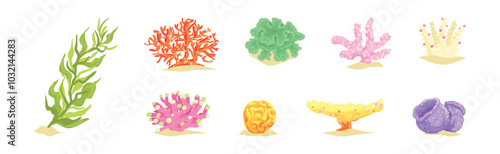 Colorful Coral and Sea Bottom Plant Vector Set
