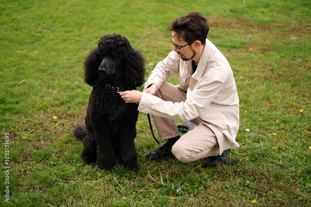 Young man on the park lawn playing with a royal black poodle Young man on the park lawn playing with a royal black poodle