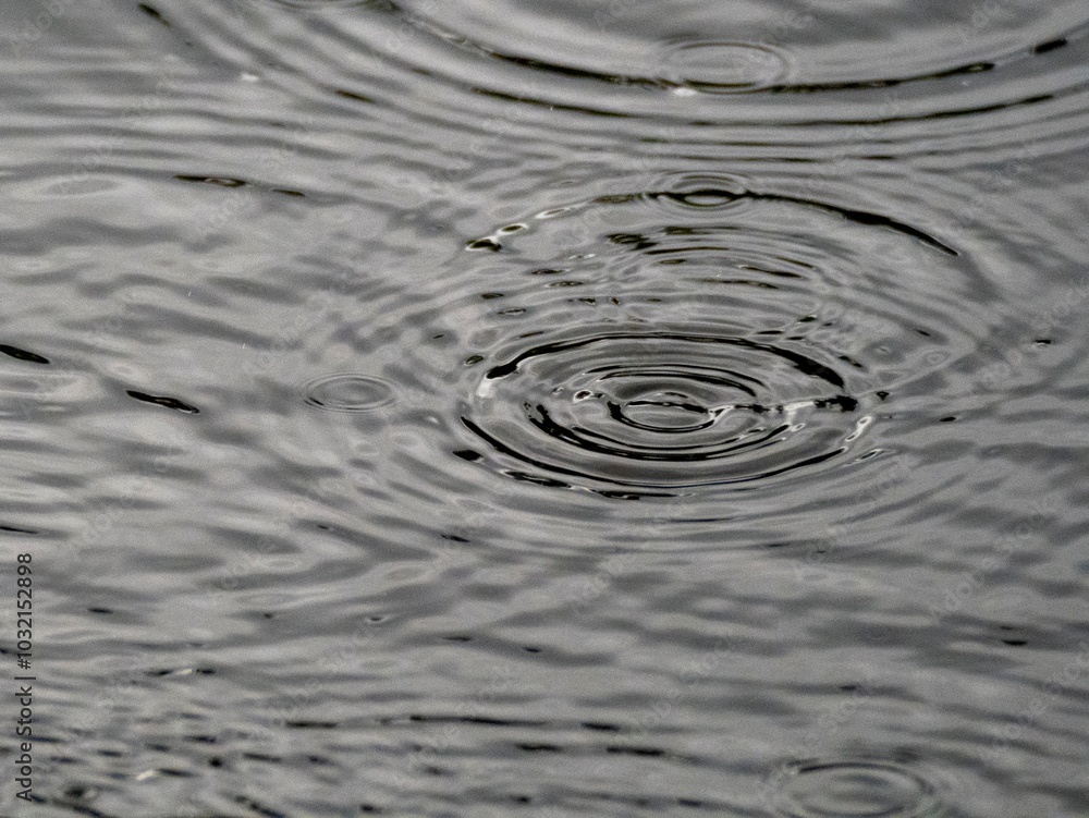 A beautiful background image: In the dance of the drops: The Amazon in the rhythm of the rain. A beautiful background image: In the dance of the drops: The Amazon in the rhythm of the rain.