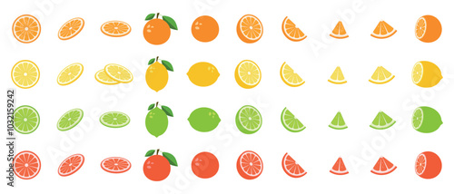 Big summer fruits slices collection with Lime, lemon, orange and grapefruit. Big vector set of fresh delicious citrus fruits. Mega vector slice fruits collection	
