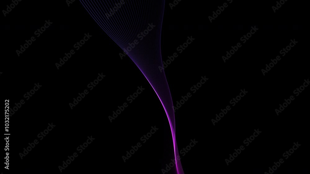 Purple and blue wave lines against black background Purple and blue wave lines against black background