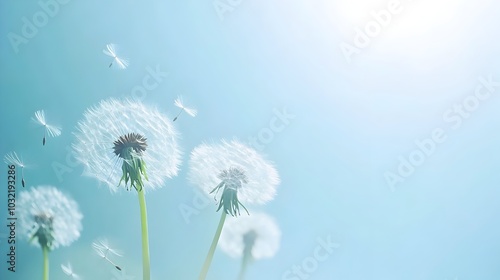 Dandelion Seeds Floating on a Gentle Breeze Against a Pastel Blue Background