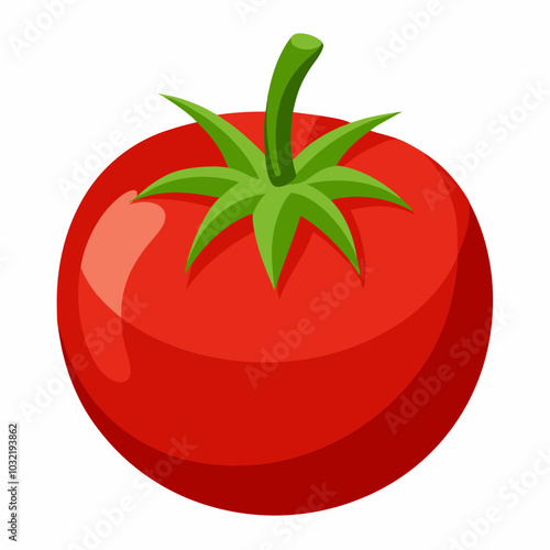 tomato illustration