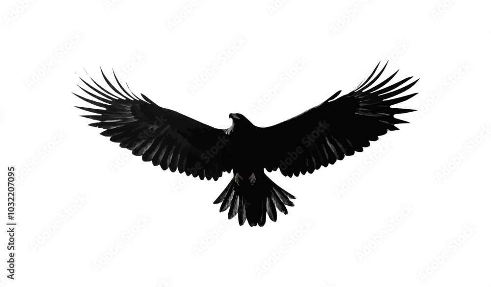 Silhouette of a soaring eagle with outstretched wings in flight, set on a white background. Silhouette of a soaring eagle with outstretched wings in flight, set on a white background.
