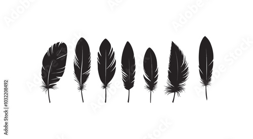 Feather icons. Set of black feather icons isolated. Feather silhouettes.