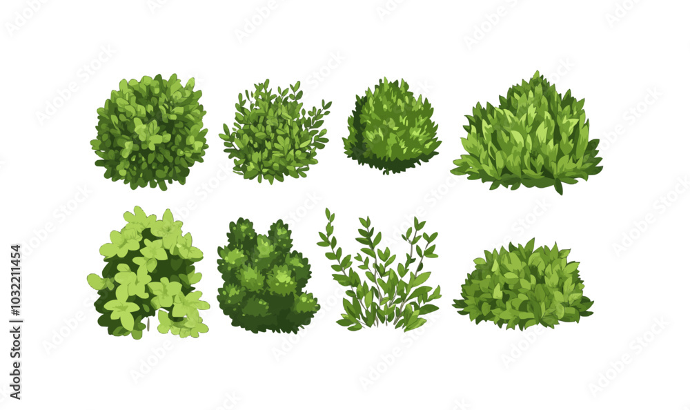 Fototapeta premium Cartoon shrub bush set. Garden green decoration bushes, illustrated hedge shrubs plants isolated on white