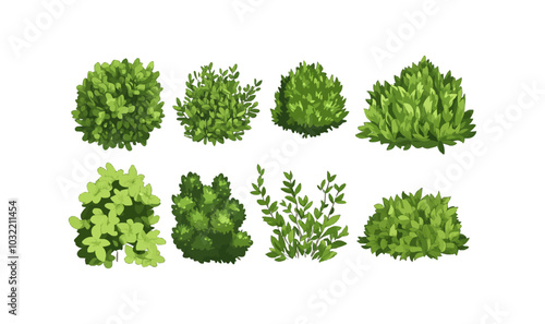Cartoon shrub bush set. Garden green decoration bushes, illustrated hedge shrubs plants isolated on white