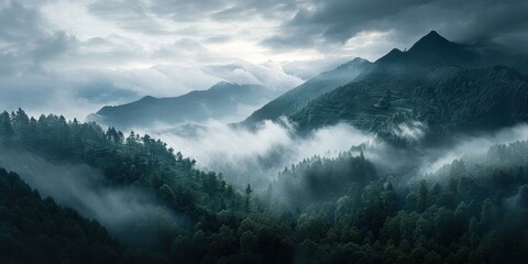 Tableau sur plexiglas  Misty mountain forest under cloudy sky.  © Ali