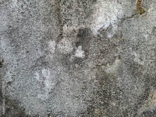 the texture of the cement wall is dirty and moldy gray