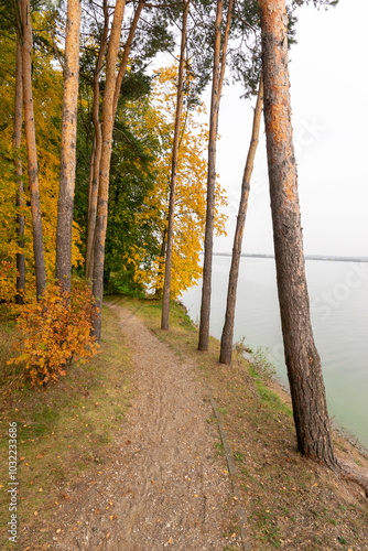 Forest walking path on the lake shore in autumn