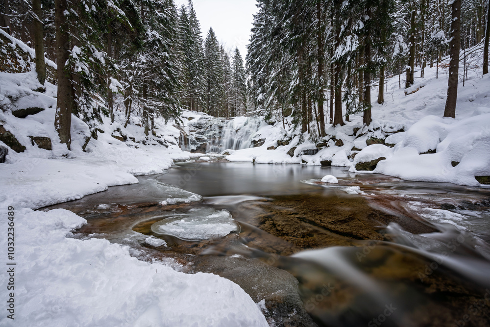 Fototapeta premium Captivating Winter Landscape: Frozen Waterfall Cascading into a Flowing River Surrounded by Snow-Covered Coniferous Trees - A Breathtaking Display of Nature's Icy Beauty