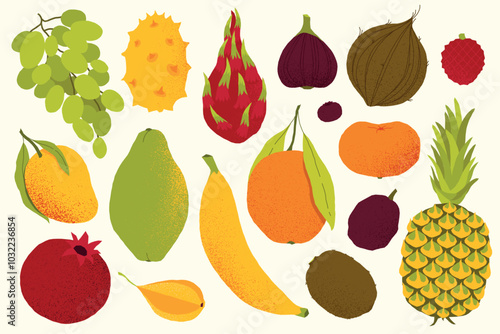 Exotic fruits. Cartoon tropical sweet organic berries, kiwi gooseberry mango pomegranate rambutan and dragon fruit. Vector isolated set.