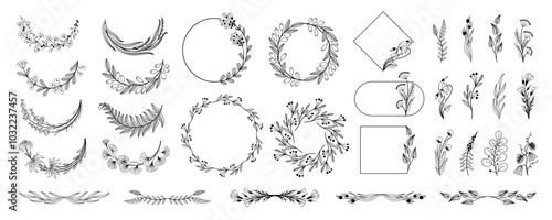 Floral borders and dividers. Elegant decorative plants frames and monogram ornamental dividers for wedding invitation card. Vector isolated set
