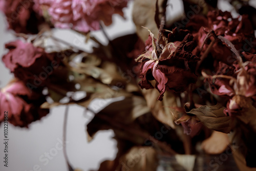 Fotografie Dried flowers in a glass vase