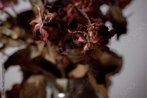 Dried flowers in a glass vase. Concept of dry skin, mental health problems, emotional burnout, dehydration. Lack of clean water and the environmental consequences of global warming.