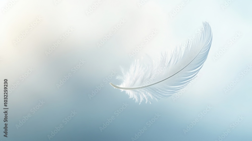 Obraz premium A single, delicate feather slowly drifting down through the air.