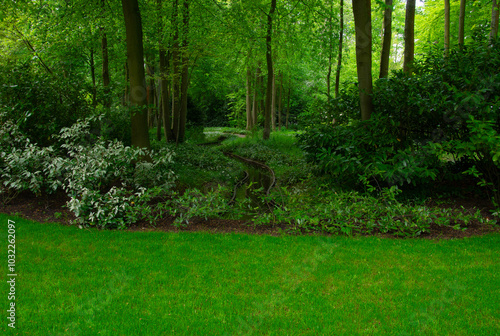 Garden with blooming spring flowers