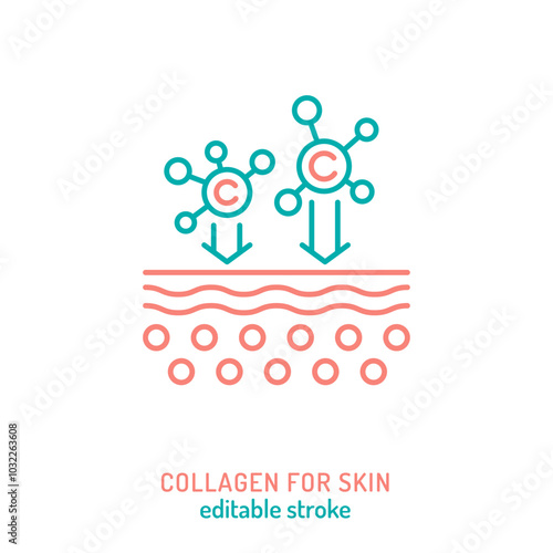 Collagen for skin line icon. Connective tissue protein pictogram.