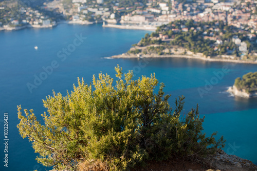 Point de vue de la Route des Crêtes, Cap Canaille, Cassis, Provence, Région PACA, Sud, France, Europe