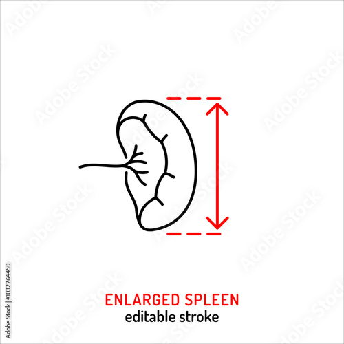 Enlarged spleen line icon. Medical symptom outline sign.