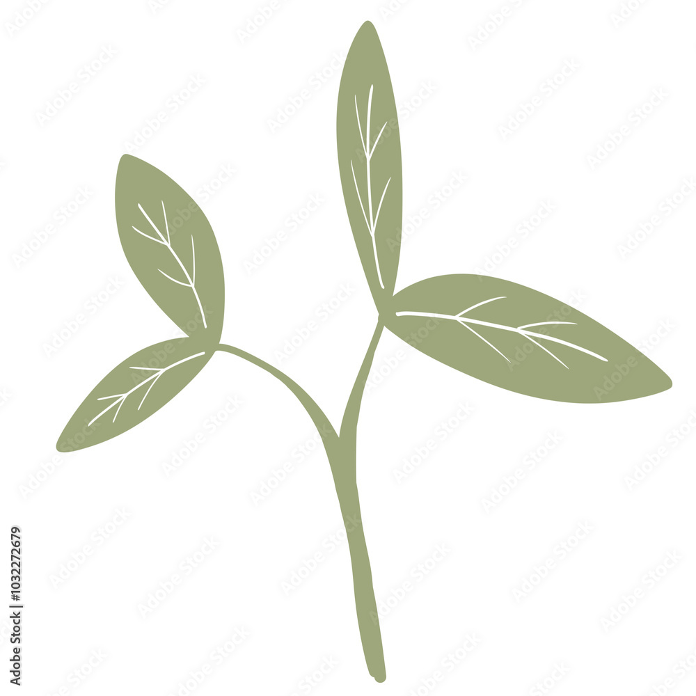 Fototapeta premium Green leaves illustration