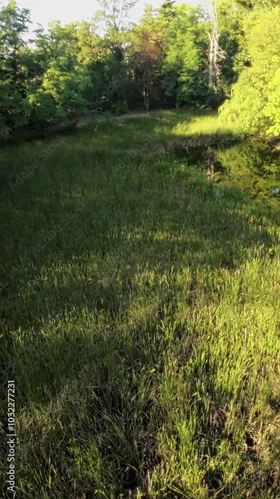 This is a peaceful walk in the countryside, following a small river. The video is very relaxing and calming, with the sound of the water and the birds singing. The scenery is beautiful, with lots of This is a peaceful walk in the countryside, following a small river. The video is very relaxing and calming, with the sound of the water and the birds singing. The scenery is beautiful, with lots of