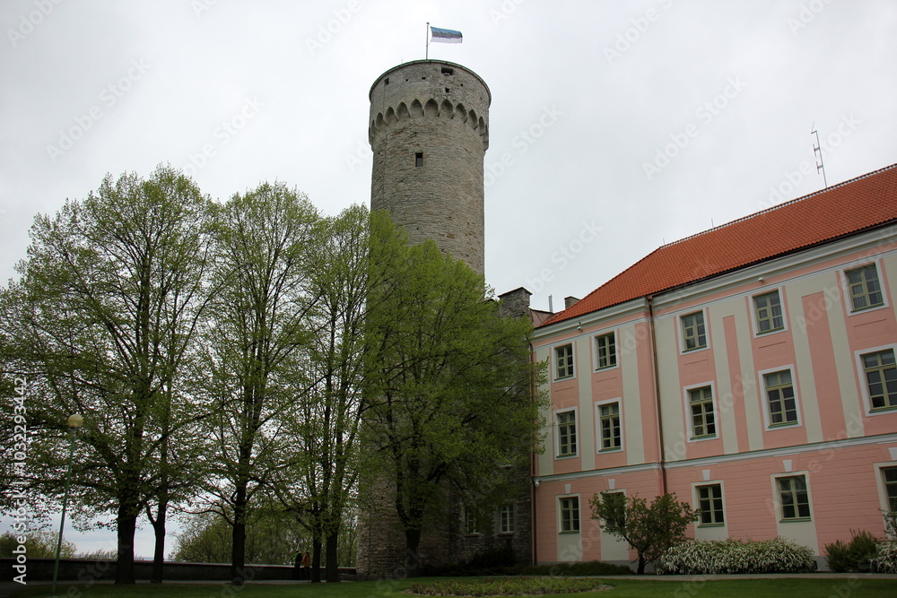Obraz premium Tallinn Estonia 05 27 2022 . red tile roofs of Tallinn