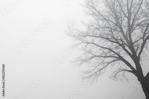 Wallpaper Mural Fog Background in Nature Torontodigital.ca