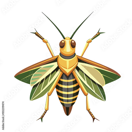  lesser migratory grasshopper best vector design.