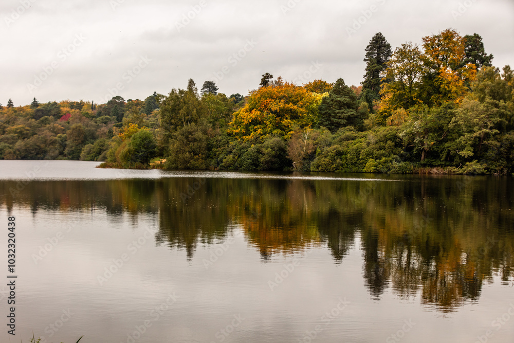 Φωτογραφία Virginia Water Lake lies at the Southern edge of Windsor Great Park