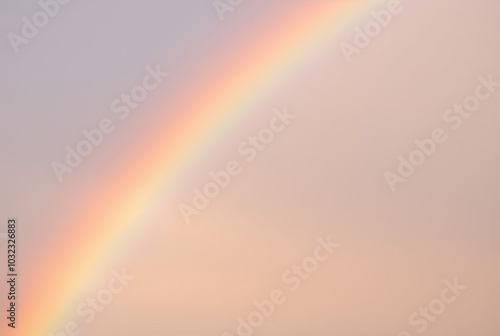 A rainbow with a subtle lavender tint