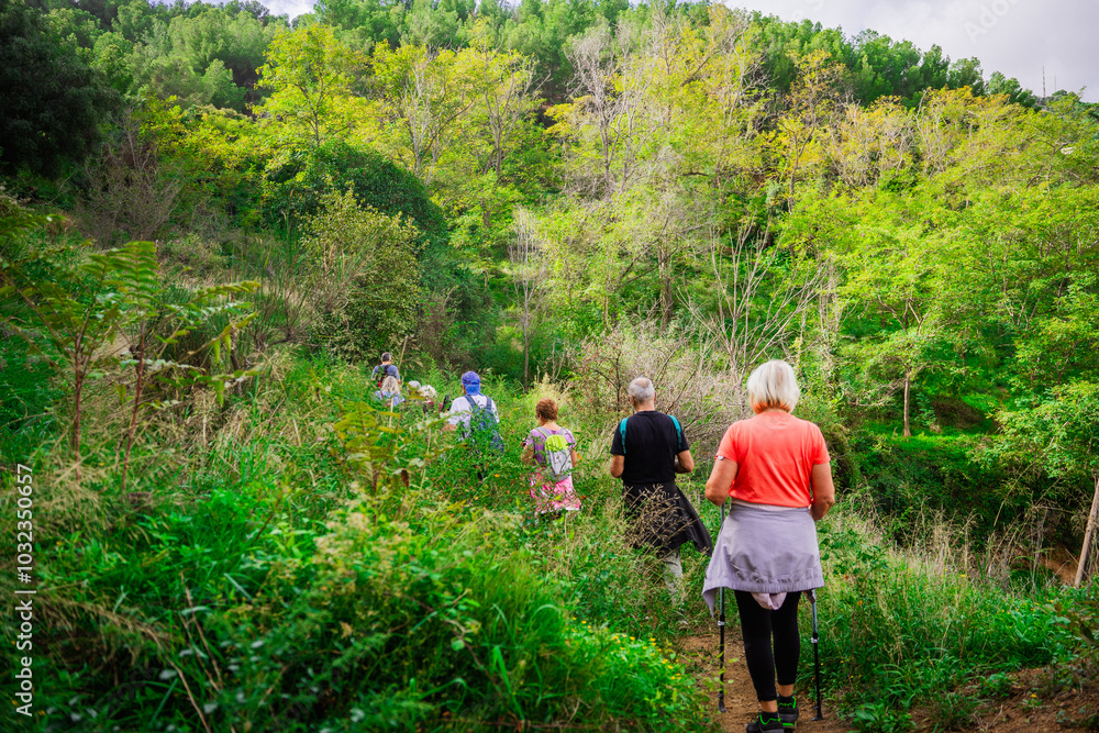 A group of elderly people walking in the woods. Concept of keeping active in the third age. Summer, exercise and hiking with group of friends and trekking together A group of elderly people walking in the woods. Concept of keeping active in the third age. Summer, exercise and hiking with group of friends and trekking together