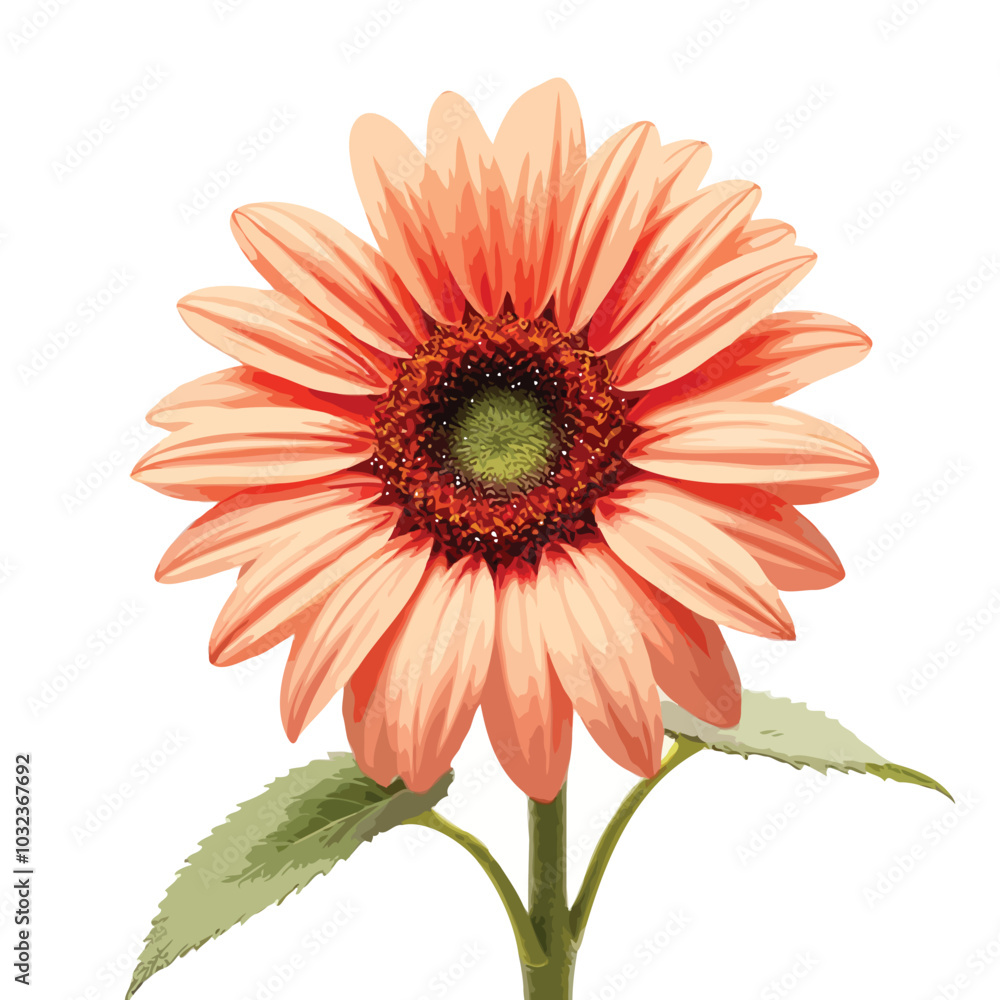 Sunflower vector illustration Sunflower vector illustration