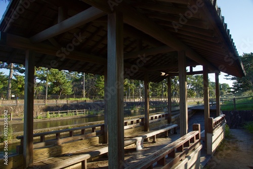 酒津公園の秋 曼珠沙華 彼岸花