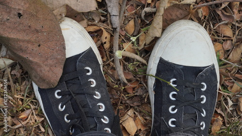 shoes with laces, black and white among dry leaves - Temanggung Indonesia 06 ‎September ‎2023 photo