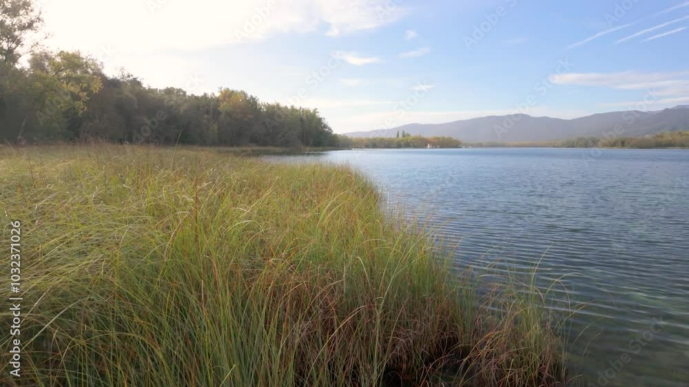 tranquil lake surrounded by lush greenery and autumn-colored trees In the distance, forested hills and mountains rise, creating a peaceful, picturesque scene that captures the essence of a serene lake tranquil lake surrounded by lush greenery and autumn-colored trees In the distance, forested hills and mountains rise, creating a peaceful, picturesque scene that captures the essence of a serene lake