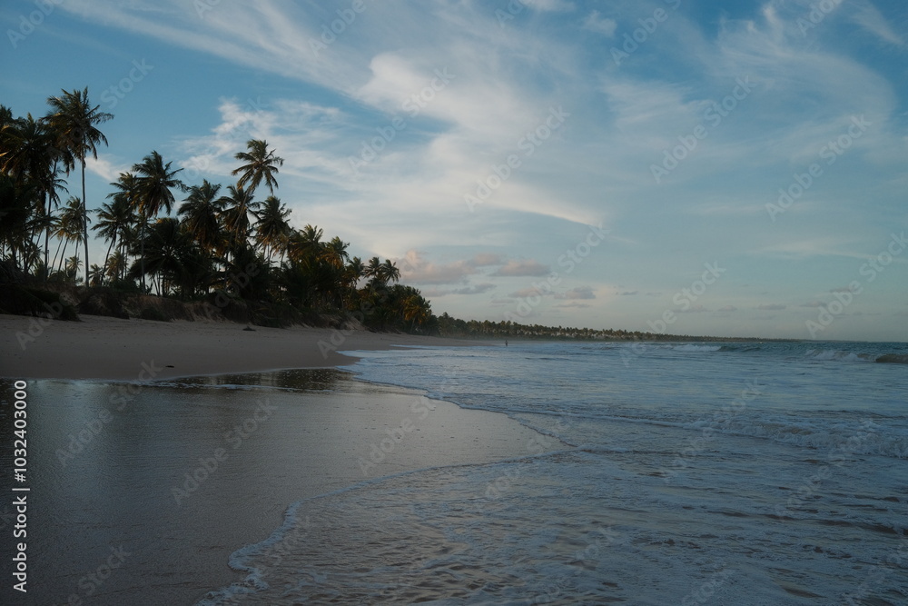 custom made wallpaper toronto digitalSerene sunset at Praia do Forte, Bahia, with palm trees lining the beach. Gentle waves wash ashore under a sky filled with soft clouds, creating a peaceful, tropical scene