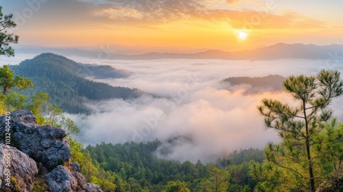  Panorama Sunrise and misty at Doi Phatang viewpoint