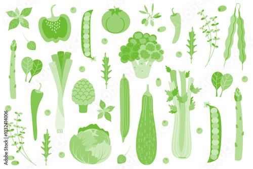 A set of fresh green vegetables and herbs. Broccoli, cucumber, celery, spinach, paprika, zucchini, artichoke, peas, kale, rucola, tomato, asparagus. The concept of healthy living and proper nutrition.