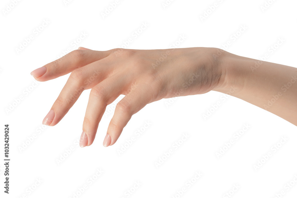 Woman hands with nude manicure isolated on a white background. Woman hands with nude manicure isolated on a white background.