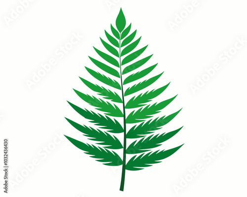 Fern Leaf Icon vector,Fern Leaf gaphic