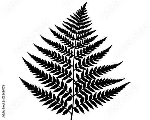 Fern Leaf silhouette vector art,Silhouette of a forest fern leaf