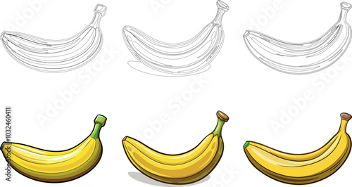 tep-by-Step Illustration of Banana Drawing and Coloring