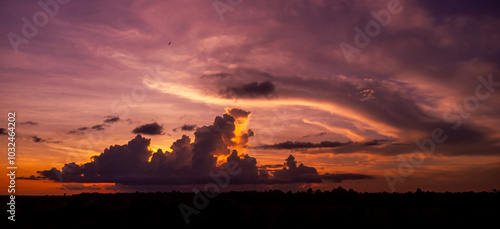 Amazing sunset and sunrise.Panorama silhouette tree in africa with sunset. Dark tree on open field dramatic sunrise.Safari theme.Giraffes , Lion , Rhino photo